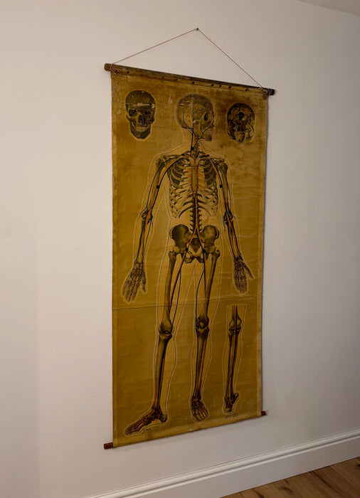 Anatomical Poster, 'Pressure Points & Blood Flow' by J.Teck