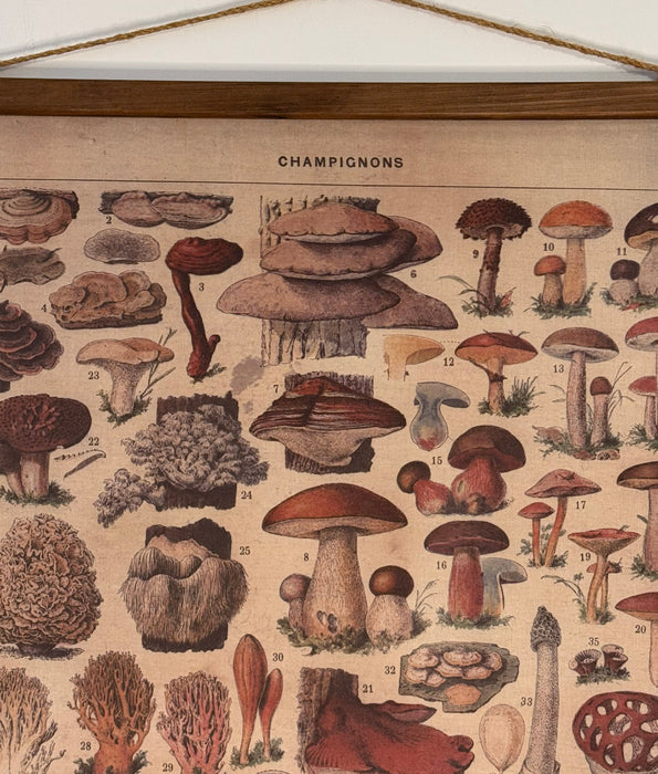 Vintage Botanical Wall Hanging – "Champignons"