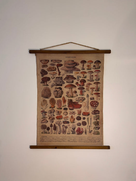 Vintage Botanical Wall Hanging – "Champignons"