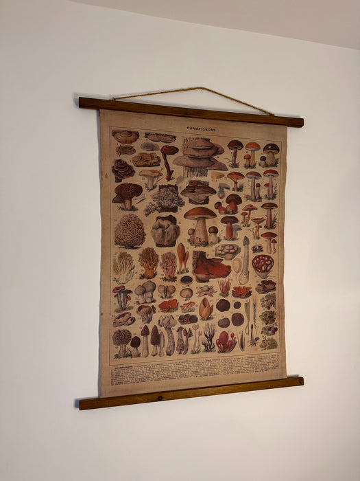 Vintage Botanical Wall Hanging – "Champignons"