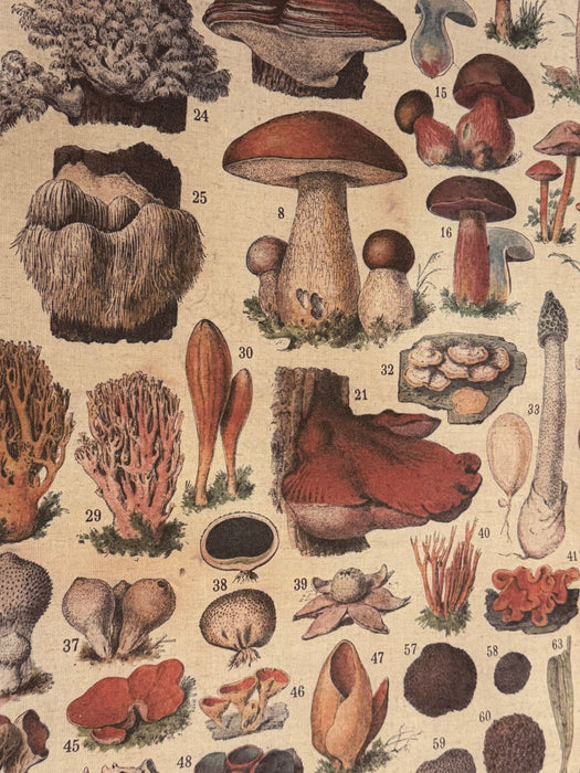 Vintage Botanical Wall Hanging – "Champignons"