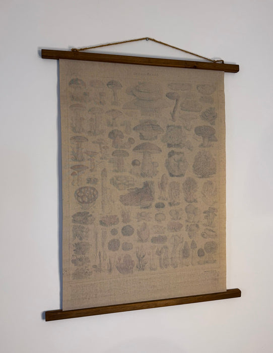 Vintage Botanical Wall Hanging – "Champignons"