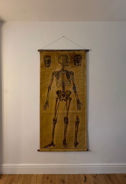 Anatomical Poster, 'Pressure Points & Blood Flow' by J.Teck