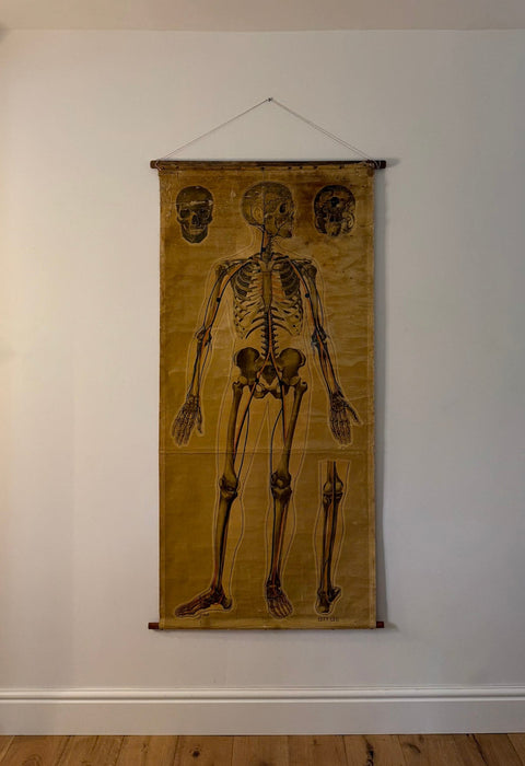 Anatomical Poster, 'Pressure Points & Blood Flow' by J.Teck