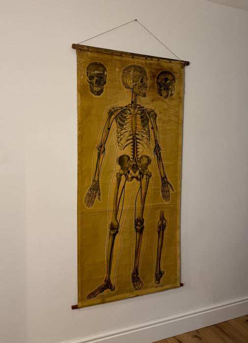 A Large St Johns Ambulance Anatomical Poster, 'Pressure Points & Blood Flow' by J.Teck, Circa 1940s