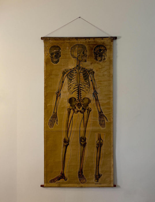 A Large St Johns Ambulance Anatomical Poster, 'Pressure Points & Blood Flow' by J.Teck, Circa 1940s