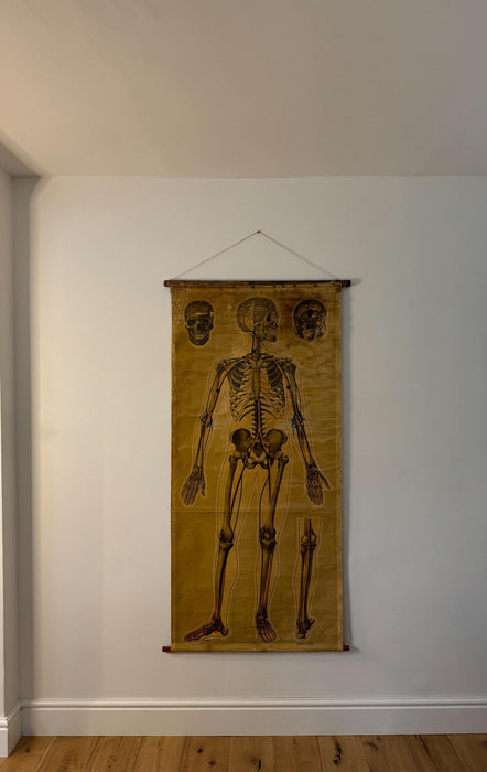 A Large St Johns Ambulance Anatomical Poster, 'Pressure Points & Blood Flow' by J.Teck, Circa 1940s